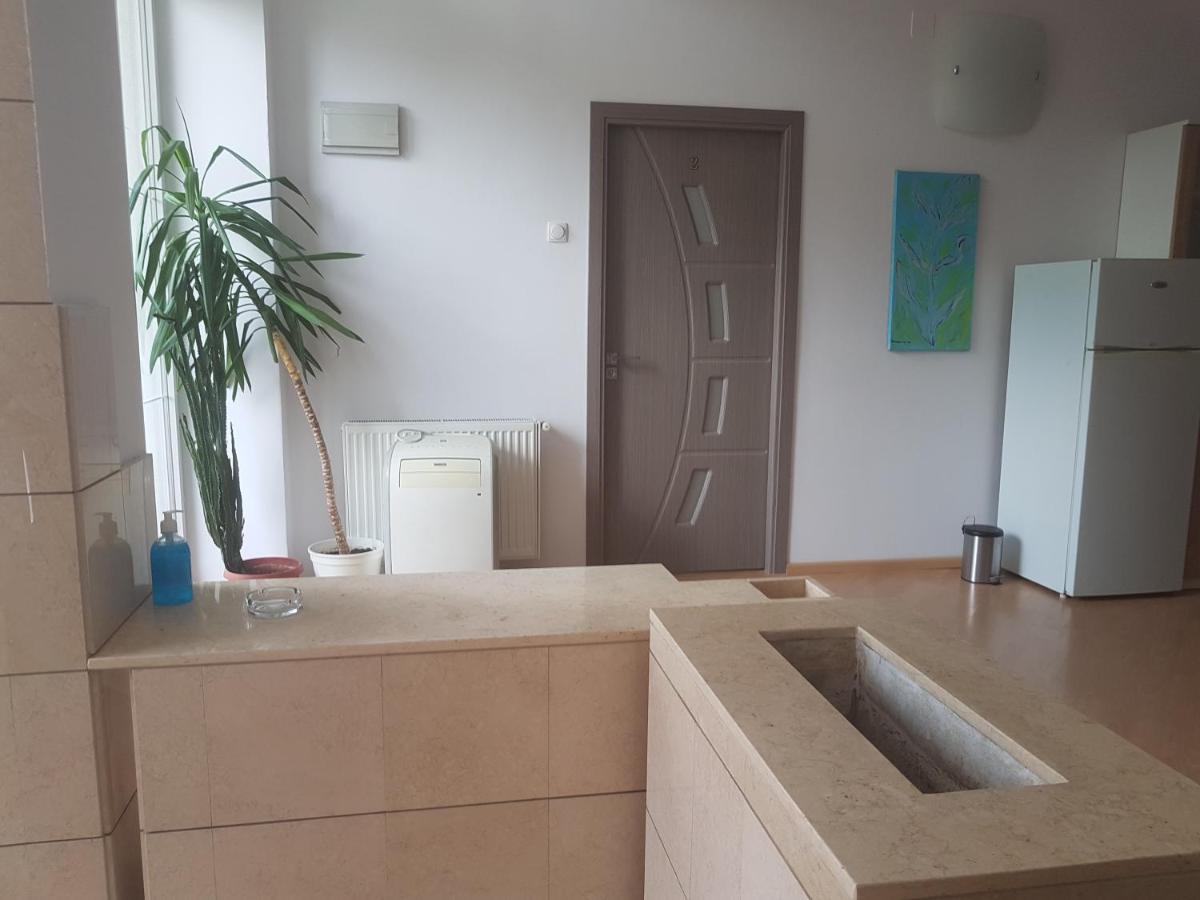 Lara Guest House Sfântu Gheorghe Bagian luar foto