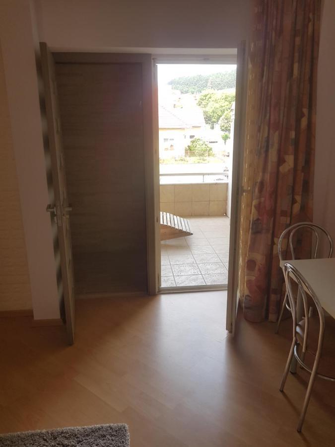 Lara Guest House Sfântu Gheorghe Bagian luar foto
